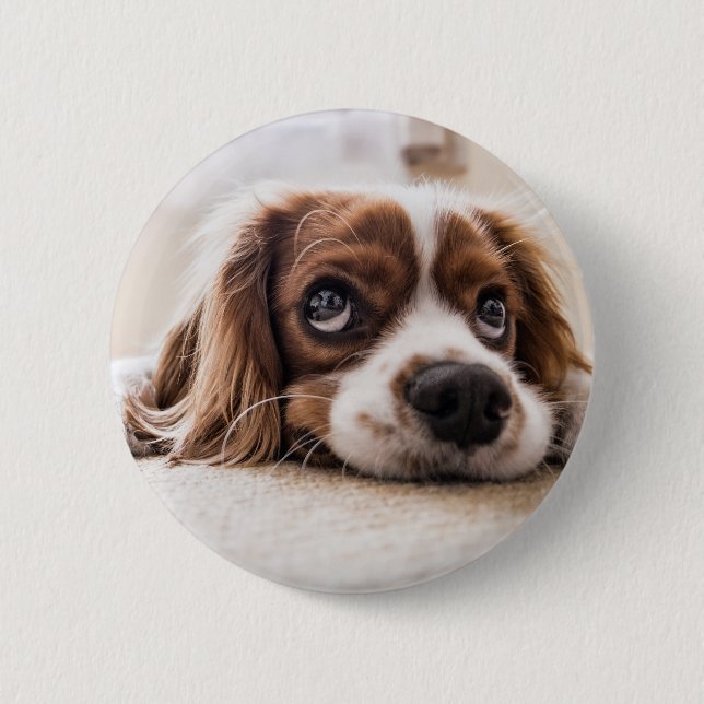 Sad-Mit Augen Cocker Spanierhund Button (Vorderseite)