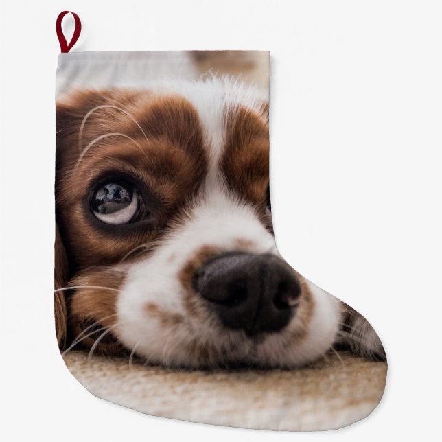 Sad-Mit Augen Cocker Spanierhund Großer Weihnachtsstrumpf (Vorderseite)