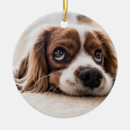 Sad-Mit Augen Cocker Spanierhund Keramik Ornament