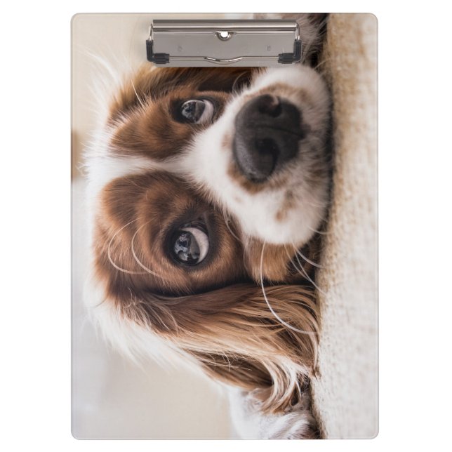 Sad-Mit Augen Cocker Spanierhund Klemmbrett (Vorderseite)