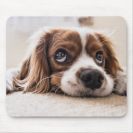 Sad-Mit Augen Cocker Spanierhund Mousepad