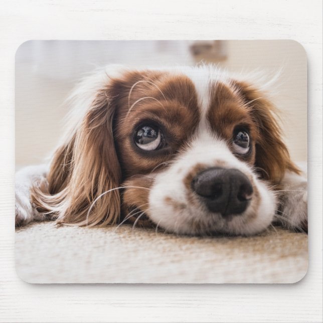 Sad-Mit Augen Cocker Spanierhund Mousepad (Vorne)