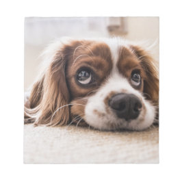 Sad-Mit Augen Cocker Spanierhund Notizblock