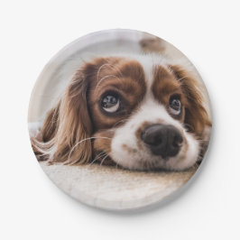 Sad-Mit Augen Cocker Spanierhund Pappteller