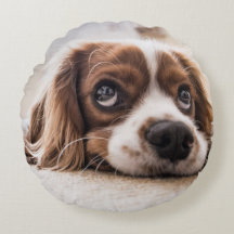 Sad-Mit Augen Cocker Spanierhund