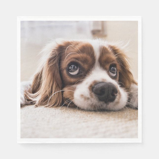 Sad-Mit Augen Cocker Spanierhund Serviette (Vorderseite)