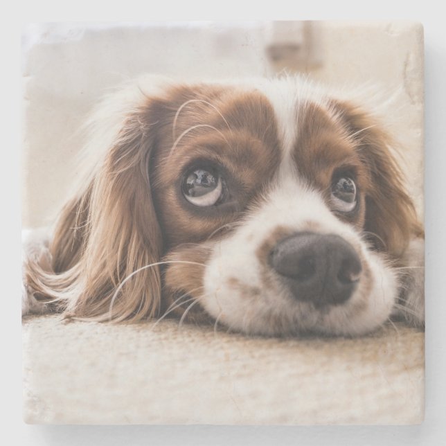 Sad-Mit Augen Cocker Spanierhund Steinuntersetzer (Vorderseite)