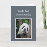 Sad Panda Bear Happy Birthday Sister Spaß Karte<br><div class="desc">Sad Panda Bären Schwester Birthday Spaß für diejenigen,  die sich nicht auf ihren Geburtstag freuen</div>