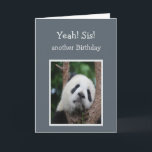 Sad Panda Bear Happy Birthday Sister Spaß Karte<br><div class="desc">Sad Panda Bären Schwester Birthday Spaß für diejenigen,  die sich nicht auf ihren Geburtstag freuen</div>