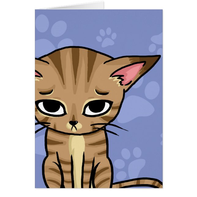 Sad Tabby Cat Kitten (Vorne)