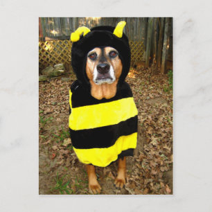 Saddest Bee Postcard Postkarte
