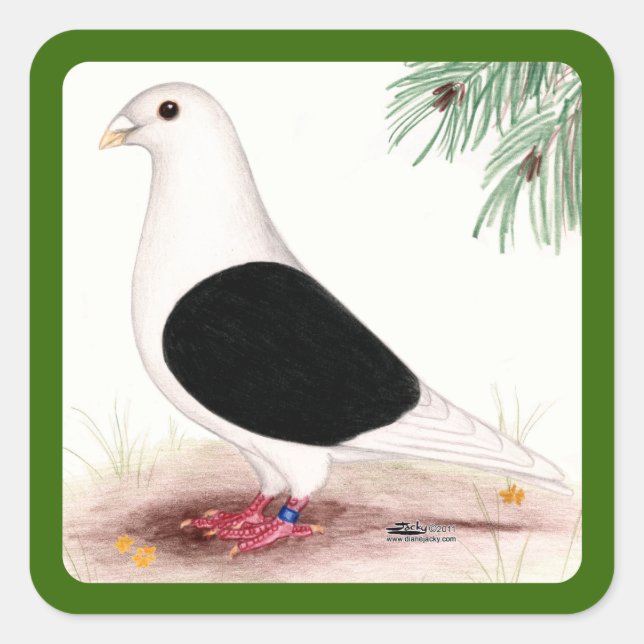 Saddle Homer Pigeon Quadratischer Aufkleber (Vorderseite)