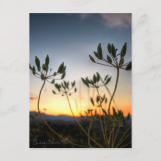 Saddle Rock Sunset Postkarte