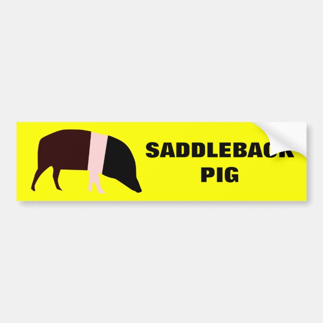 Saddleback Pig Anpassbarer Autoaufkleber (Vorne)