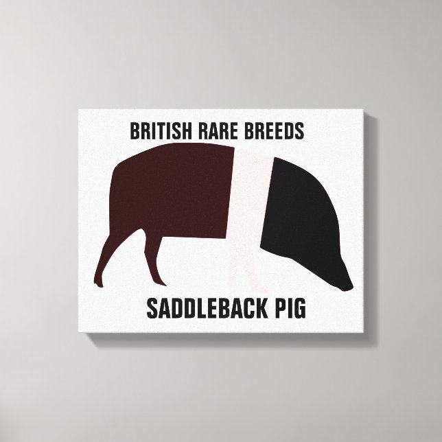 Saddleback Pig Canvas Print Leinwanddruck (Vorderseite)