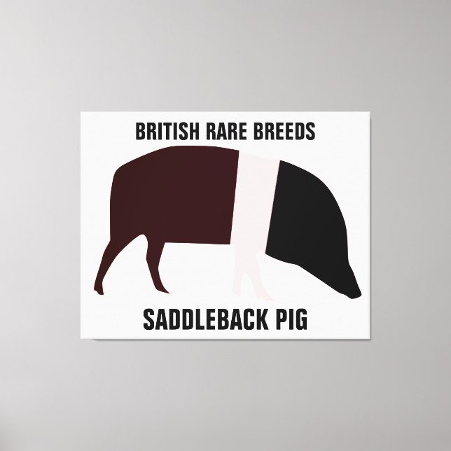 Saddleback Pig Canvas Print Leinwanddruck (Vorderseite)