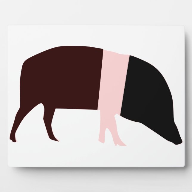 Saddleback Pig Plaque Fotoplatte (Vorderseite)