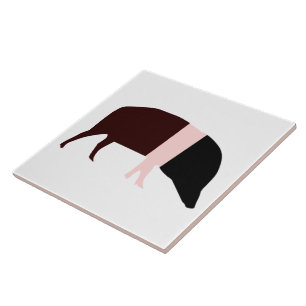 Saddleback Pig Tile Fliese