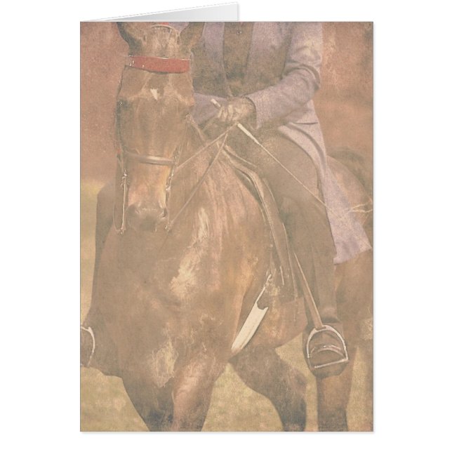 Saddlebred Dreams (Vorne)