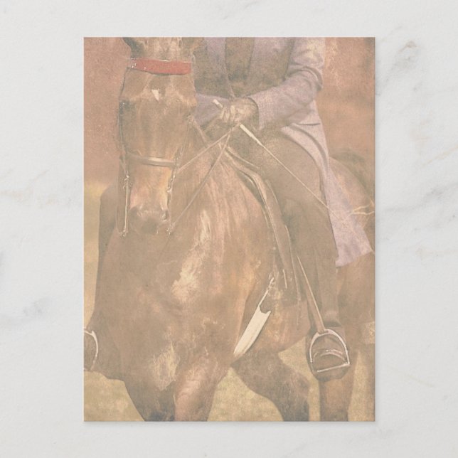 Saddlebred Dreams Postkarte (Vorderseite)