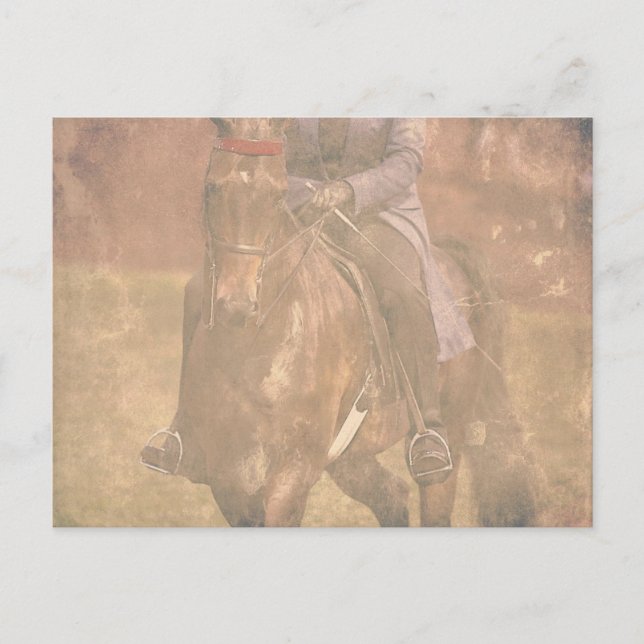 Saddlebred Dreams Postkarte (Vorderseite)