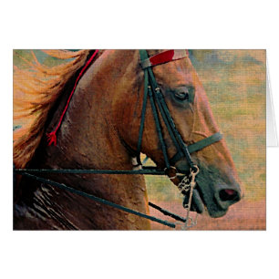 Saddlebred-Imitate-Malerei