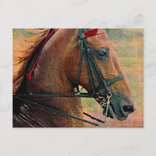 Saddlebred-Imitate-Malerei Postkarte