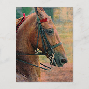 Saddlebred-Imitate-Malerei Postkarte