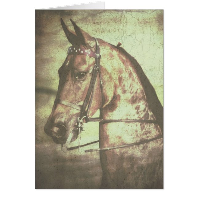 Saddlebred Pferd (Vorne)