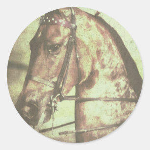 Saddlebred Pferd Runder Aufkleber