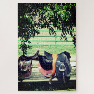 Saddles Puzzle