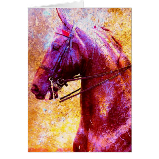Saddleseat Grunge