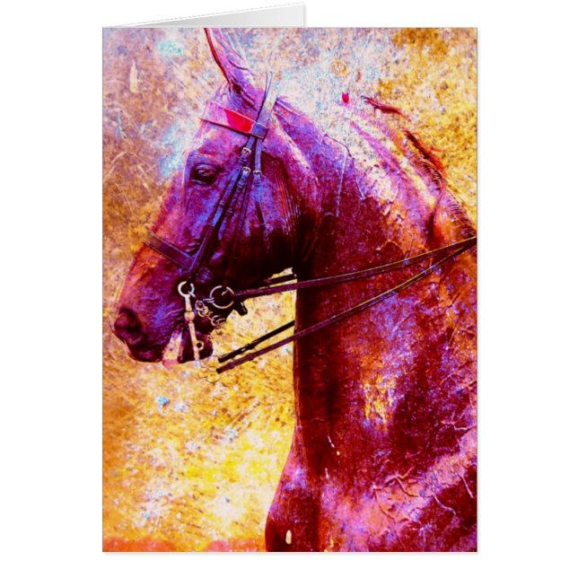 Saddleseat Grunge (Vorne)