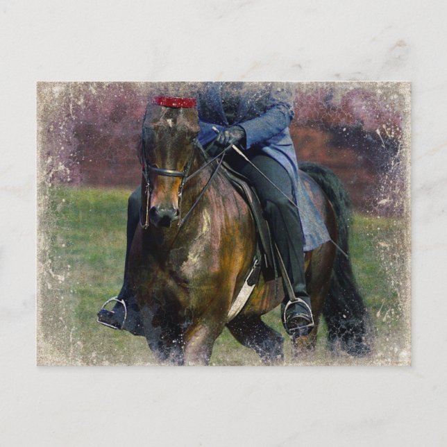 Saddleseat Postkarte (Vorderseite)