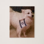 Sadie, der jüdische Hund<br><div class="desc">Sadie trägt stolz die Flagge Israels. Sadie ist ein Markenzeichen von Rachel Brandt, der Humorus freundlich gelassen hat, dieses Bild zu verwenden.</div>