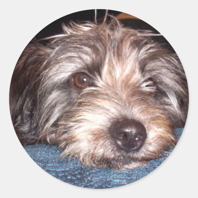 Sadie Runder Aufkleber (Vorderseite)