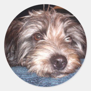 Sadie Runder Aufkleber