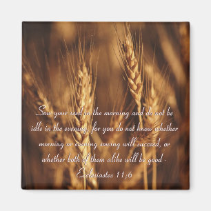 Säen Sie Ihren Samen… - Magneten Magnet