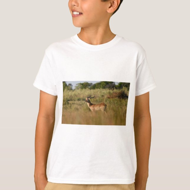 Safari Adventure Buddy-Animal Friend T-Shirt für K (Vorderseite)