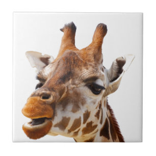 Safari Africa Jungle Giraffe Fliese