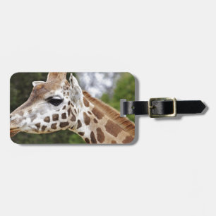 Safari Africa Mod Chic Classy Destiny Giraffe Gepäckanhänger