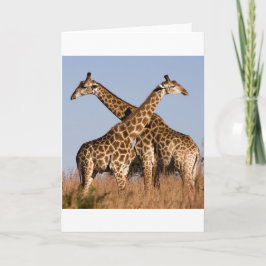 Safari Africa Mod Chic Classy Destiny Giraffe Karte
