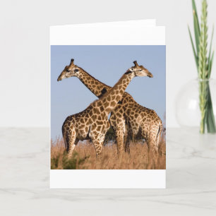 Safari Africa Mod Chic Classy Destiny Giraffe Karte
