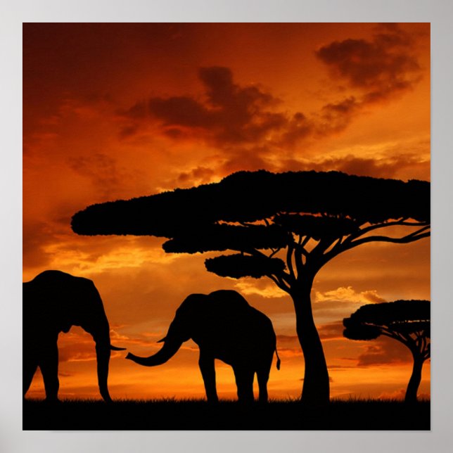 Safari African Baobab Tree Elefant Silhouette Poster (Vorne)