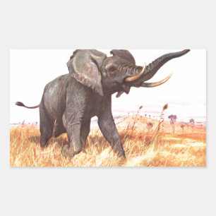 Safari African Jungle Destiny Animals Elephants Rechteckiger Aufkleber