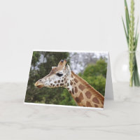 Safari Afrika Mod Chic Elegant Schicksal Giraffe