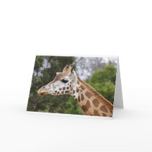 Safari Afrika Mod Chic Elegant Schicksal Giraffe