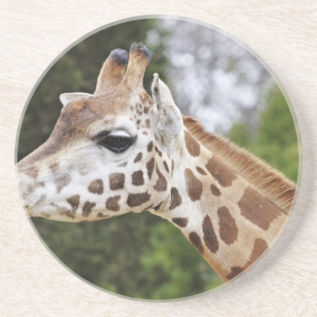 Safari-Afrika-Modchic-noble Schicksals-Giraffe Sandstein Untersetzer (Vorne)
