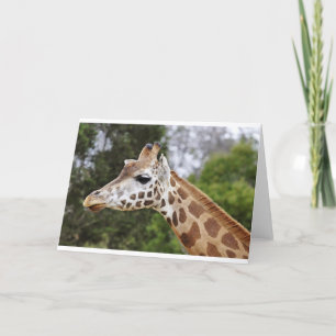 Safari Afrika Modisch Elegant Schicksal Giraffe Karte