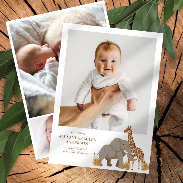 Safari Animals Fotos Neue Kinderankündigung Einladung (Von Creator hochgeladen)